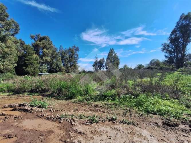 PARCELA El Trébol Lonquén Norte