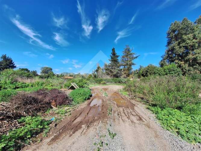 PARCELA El Trébol Lonquén Norte