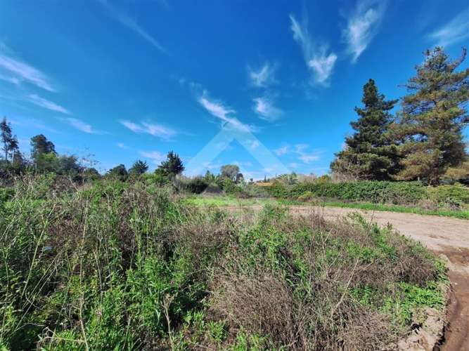 PARCELA El Trébol Lonquén Norte