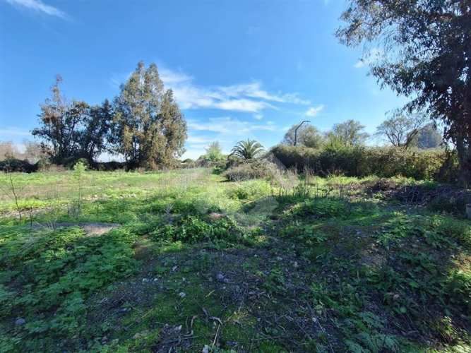 PARCELA El Trébol Lonquén Norte