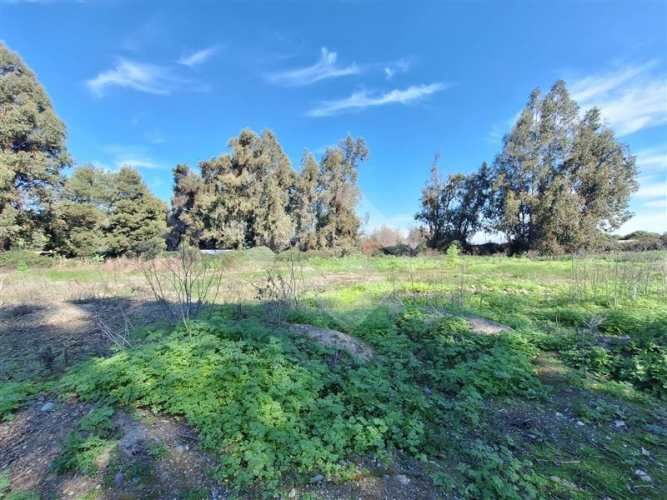 PARCELA El Trébol Lonquén Norte