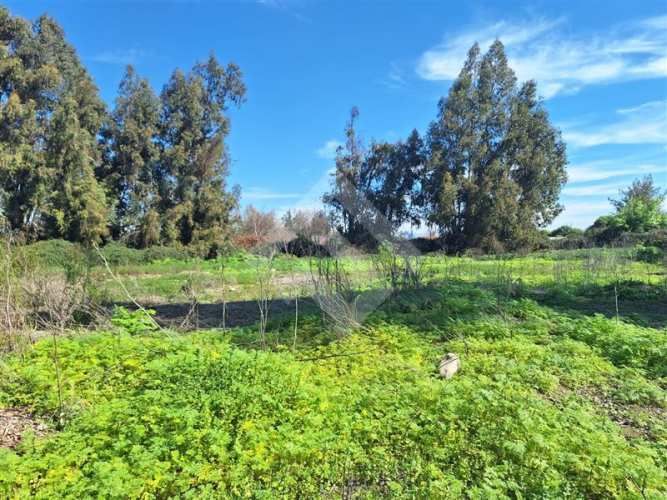 PARCELA El Trébol Lonquén Norte