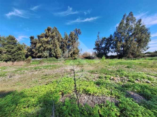 PARCELA El Trébol Lonquén Norte