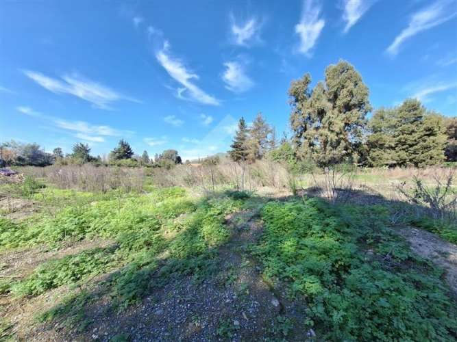 PARCELA El Trébol Lonquén Norte