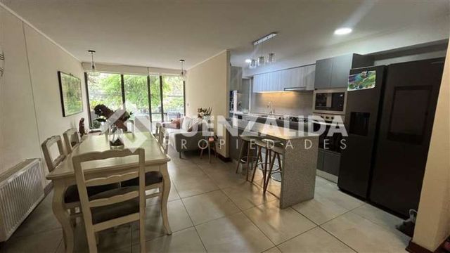 DEPARTAMENTO Lincoyan