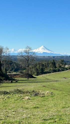 Parcelas a 15 minutos de Puerto Varas (70160)