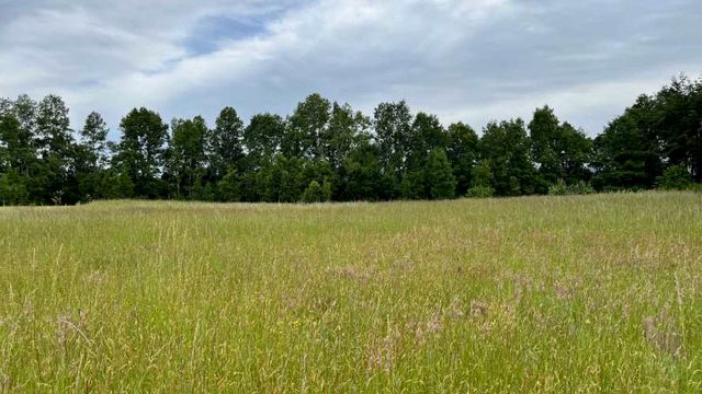 Parcela en sector Tralcao