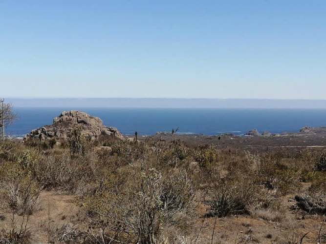 VENDO TERRENO ROCAS DEL MAR - LOS MOLLES