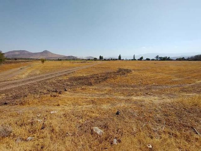 PARCELAS 5.000 M2 SECTOR EL COLORADO, COLINA