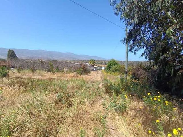 VENDO PARCELA 7.5 HECTÁREAS - MAITÉN LARGO LONGOTO