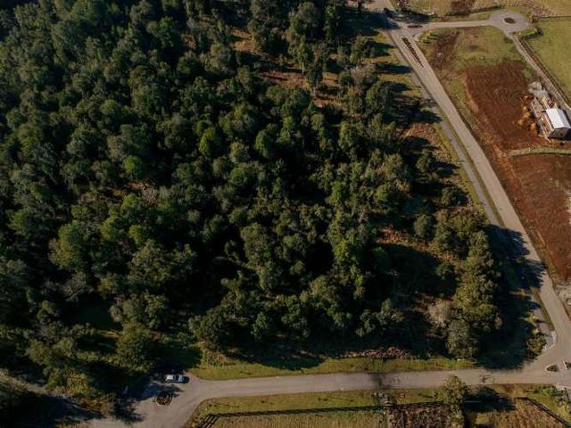 PARCELA Reserva Santa Clara II, Línea Nueva