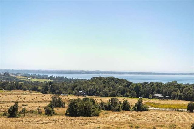PARCELA Cumbre de Los Volcanes, km 8 ruta 225 camino a Ensenada.