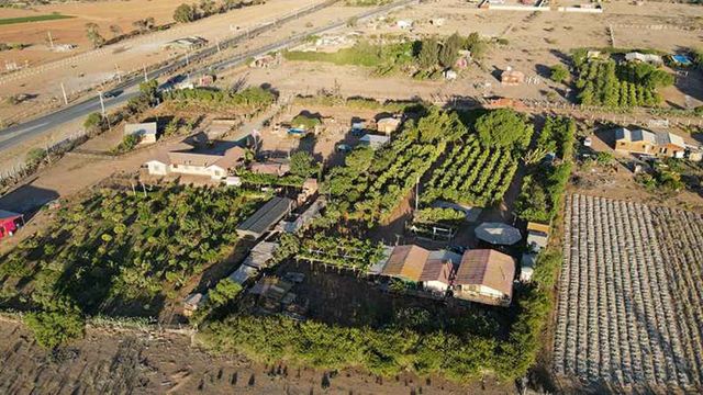 Terreno con arboles frutales Tambillos (70518)