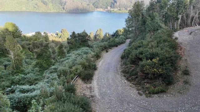 Vendo parcelas sector Tres Pinos (70733)