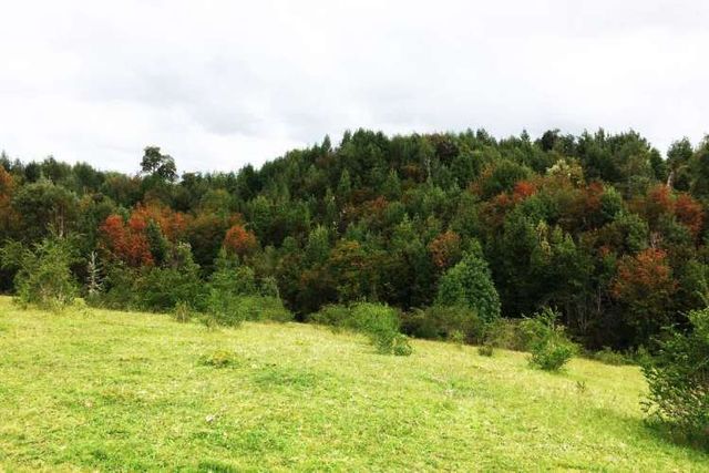 VENTA DE PARCELA en Sector Rural Aguas Buenas - Chiloé