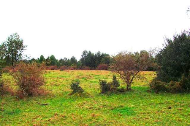 VENTA DE PARCELA en Sector Rural Aguas Buenas - Chiloé