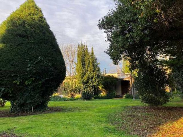 Arriendo casa 1 dorm en parcela Peñaflor (70838)