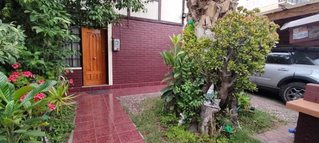 3D/2B  AV.LA FLORIDA/ENRIQUE OLIVARES  (71186)