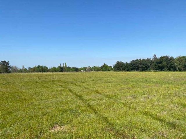 SE VENDEN 9 HECTAREAS DE TERRENO EN TEMUCO (71167)