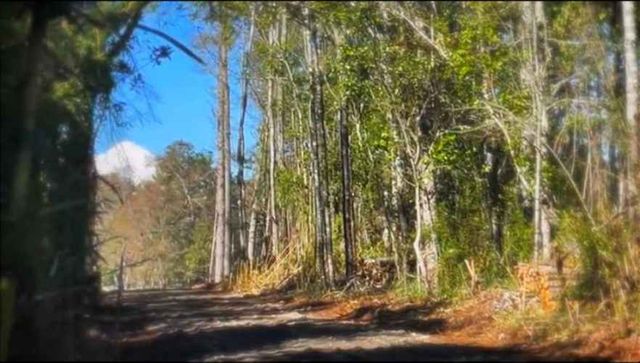 PARCELA Parcela Camino El Sauce Km 10 Villarrica