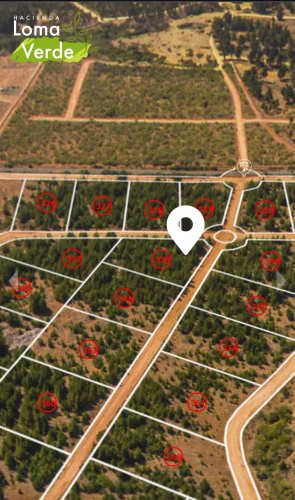 Venta parcela 5250mt2 Hacienda Loma Verde  (70909)