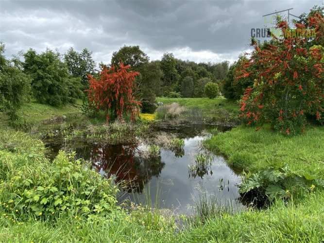 PARCELA Senderos del Bosque