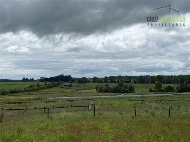 PARCELA Senderos del Bosque