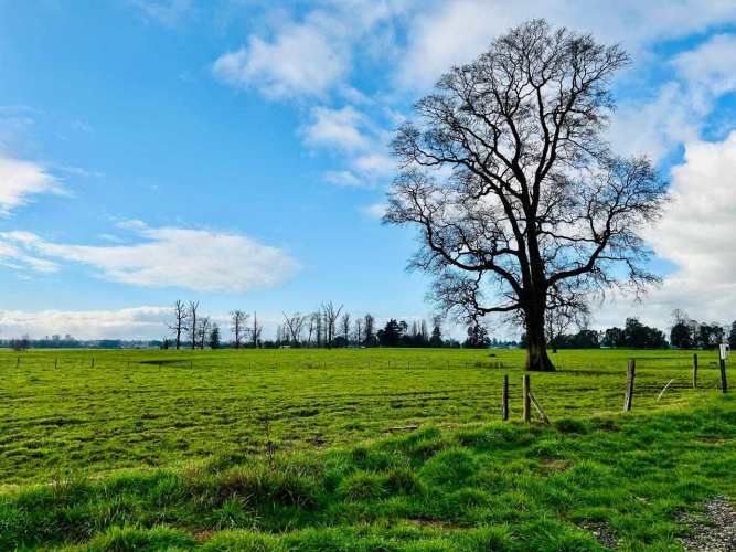 Parcelas, Condominio Graneros de Pilauco V (71495)