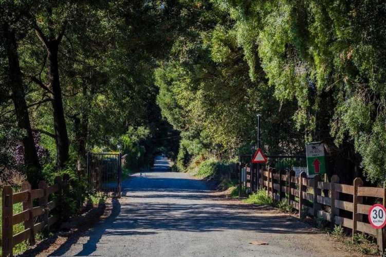 Parcelas, Condominio Graneros de Pilauco V (71495)