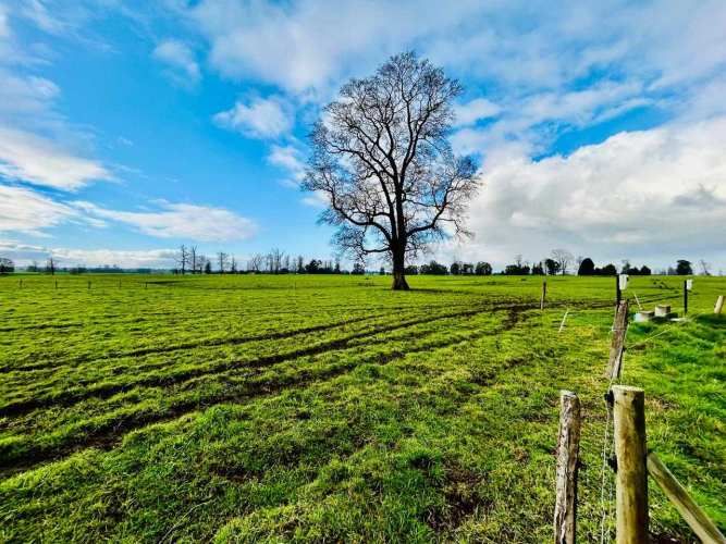 Parcelas, Condominio Graneros de Pilauco V (71495)