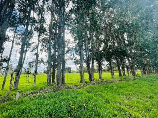 Parcelas en venta, Colonia la Radio Frutillar (71802)