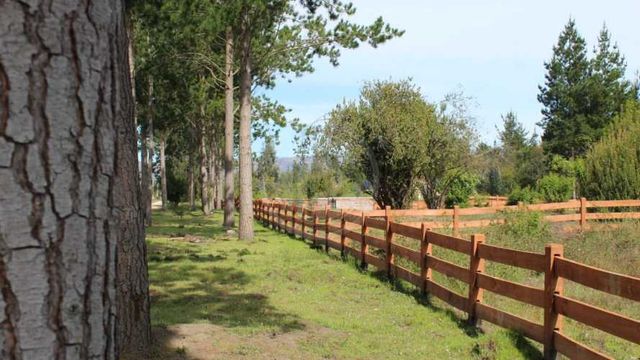 Terrenos con vistas al rio Bio Bio, Unihue (72211)