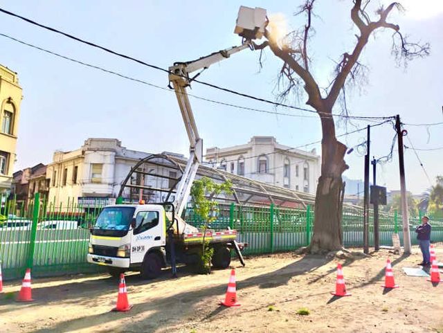 Arriendo Camión Alza hombre