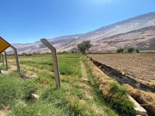 TERRENO EN MOLINO 1 HECTAREA