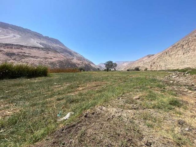 TERRENO EN MOLINO 1 HECTAREA