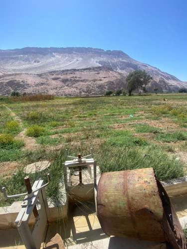 TERRENO EN MOLINO 1 HECTAREA