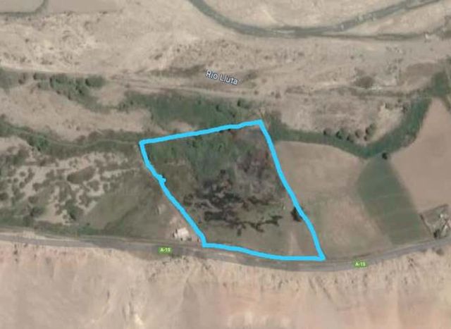 TERRENO EN MOLINO 1 HECTAREA