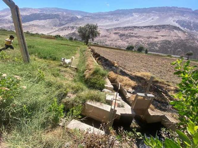 TERRENO EN MOLINO 1 HECTAREA