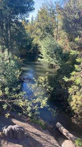 Ultimas parcelas en yungay fundo newenko  (72504)