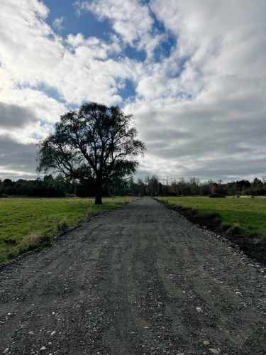 parcelas a 20 minutos de osorno puyehue  (72509)