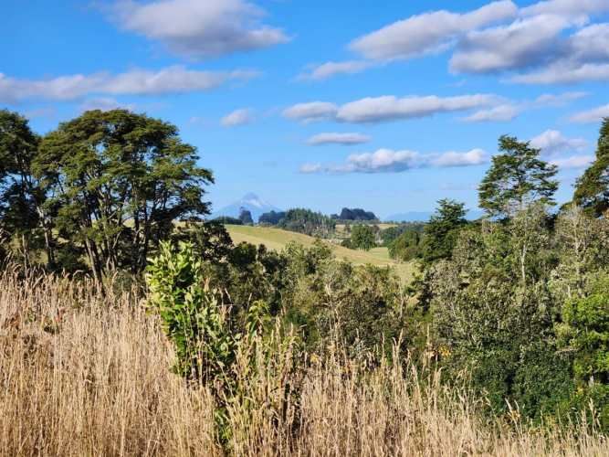 PARCELA Loncotoro, km 18