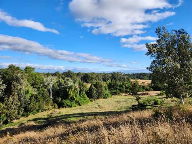 PARCELA Loncotoro, km 18