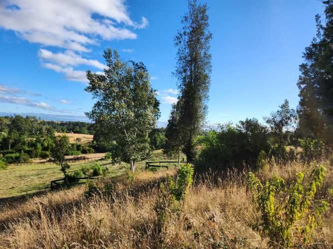 PARCELA Loncotoro, km 18