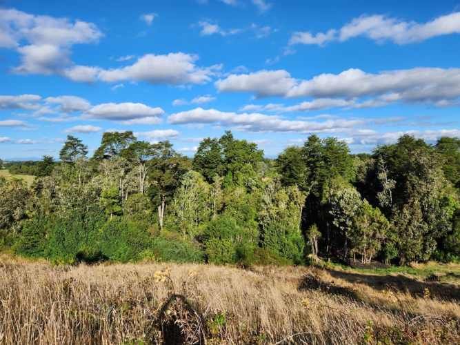 PARCELA Loncotoro, km 18