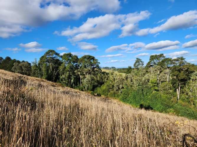 PARCELA Loncotoro, km 18