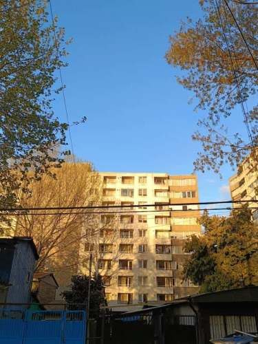 Departamento JANEQUEO 1510