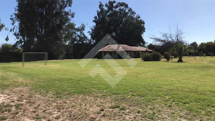 BODEGA Sector El Papagayo