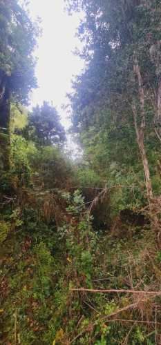 PARCELA El palomar s/n , Ancud