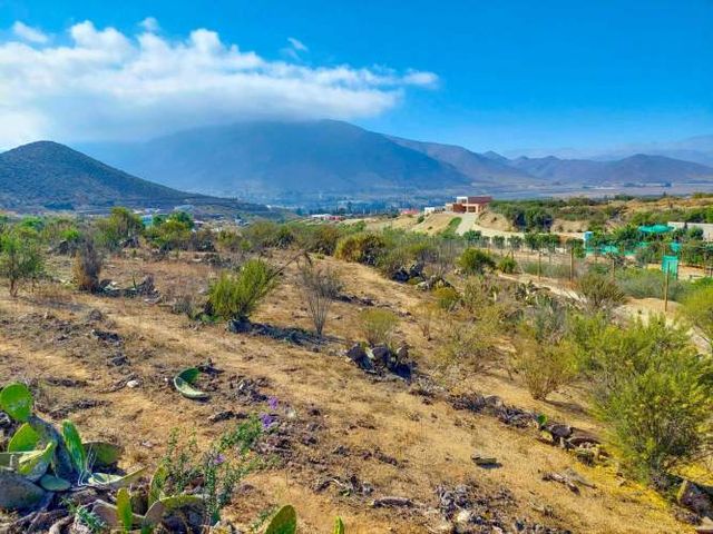 El Hinojal parcerla en venta con agua y luz  (73138)