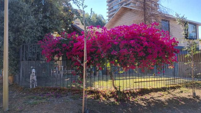 CASA Manuel Claro Vial / Florencioi Barrios